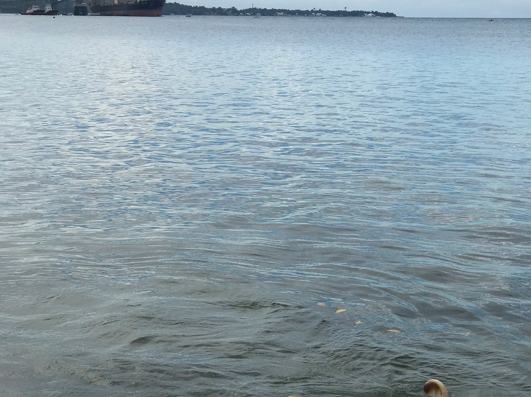 Mangrove Eco Resort主图