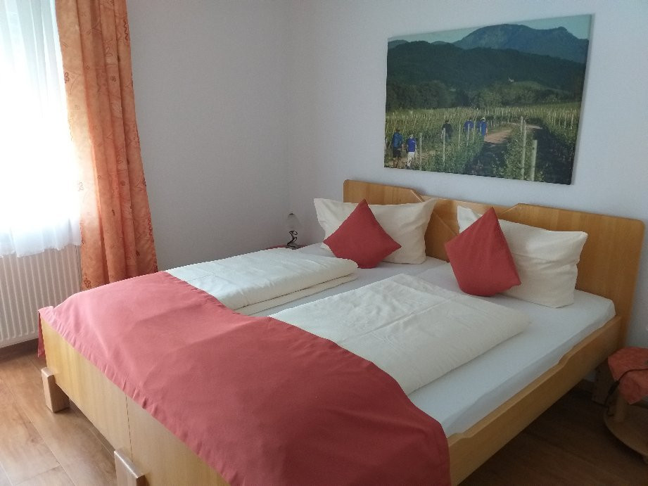 Hotel Pension Gabriela主图