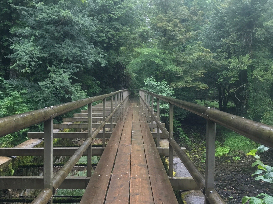 Planina Cave-Planina必去景点
