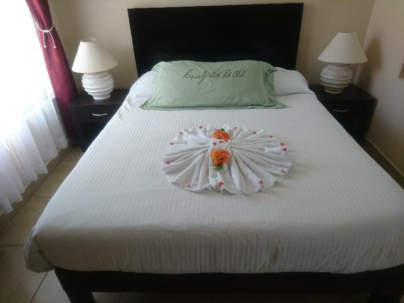 Hotel Villa Creole主图