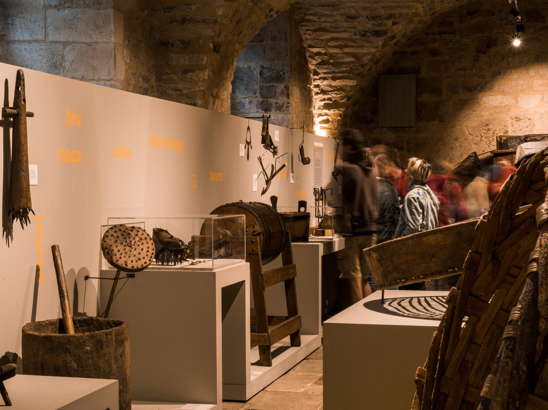 Castanea-Espace Decouverte de la Châtaigne d'Ardèche-Joyeuse必去景点