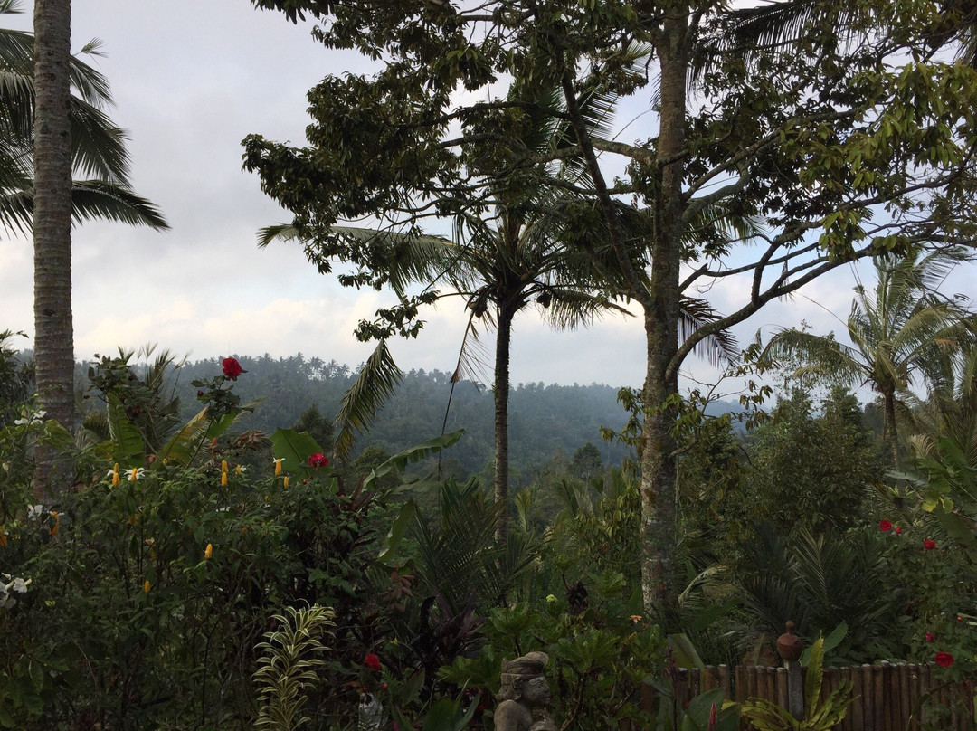 Babahan Farmstay主图