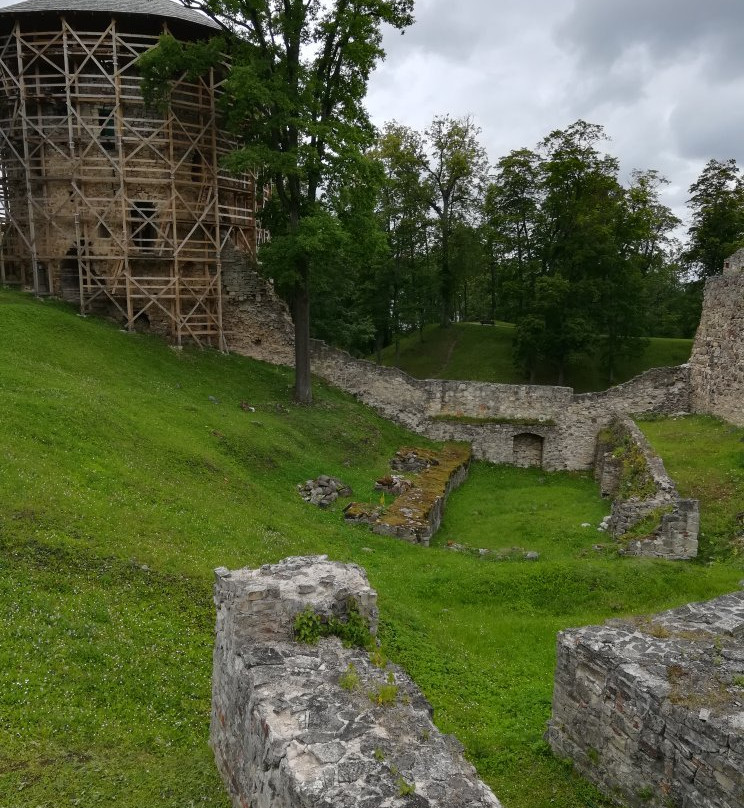 Cēsis Medieval Castle景点图片