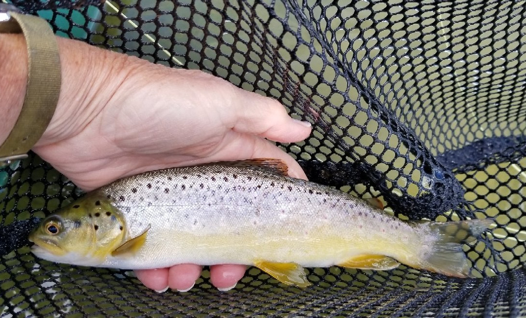 Silver Creek Outfitters-Ketchum必去景点