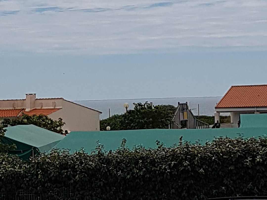 Au Petit Bonheur主图