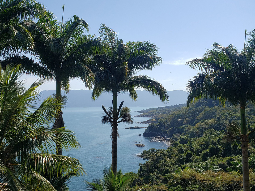 Solar Singuitta主图