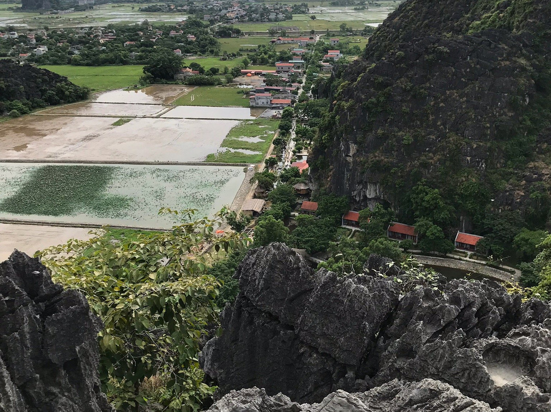 Ninh Binh Palm Homestay主图