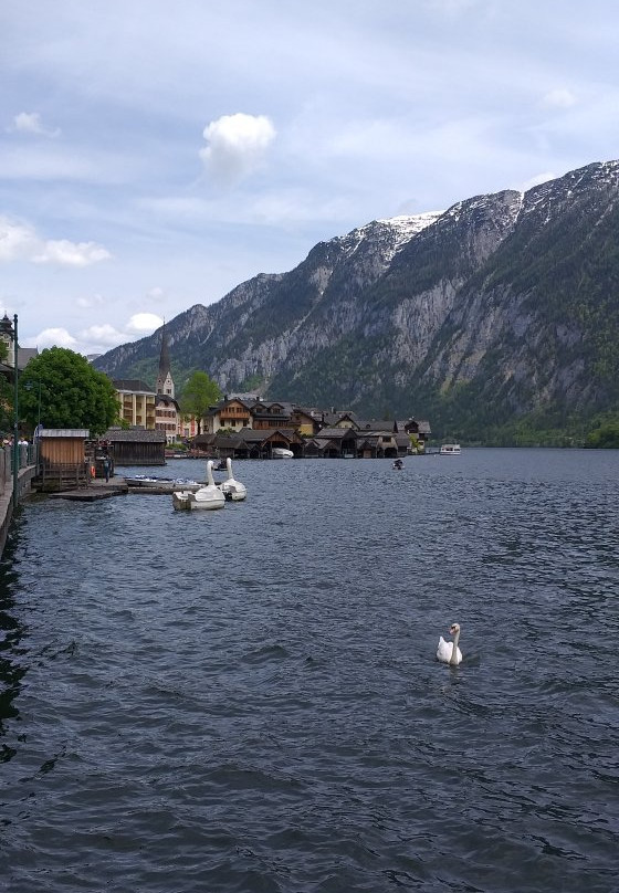 Badestrand Hallstatt-哈尔施塔特必去景点