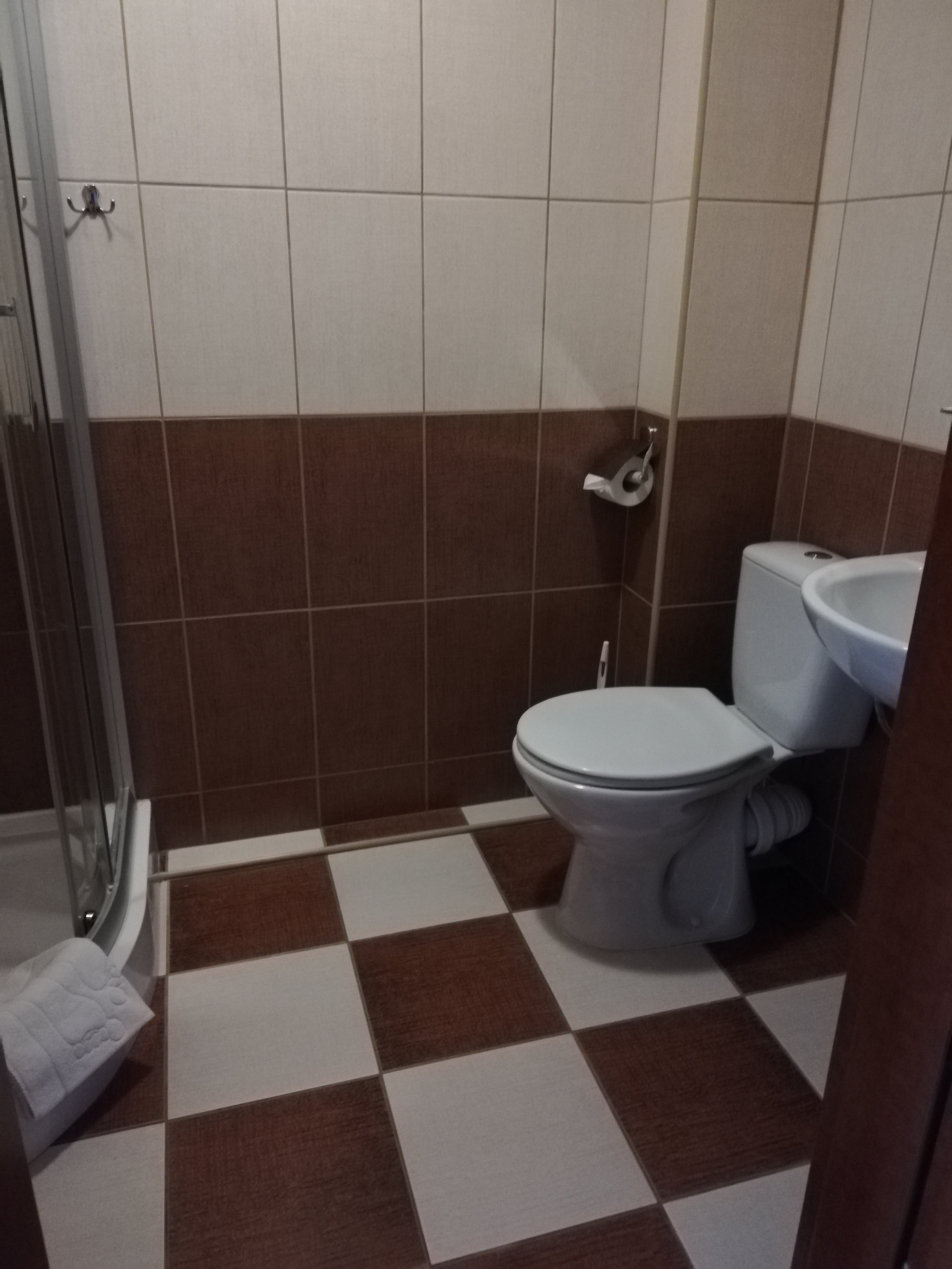 Hotel Podlasie-浴室