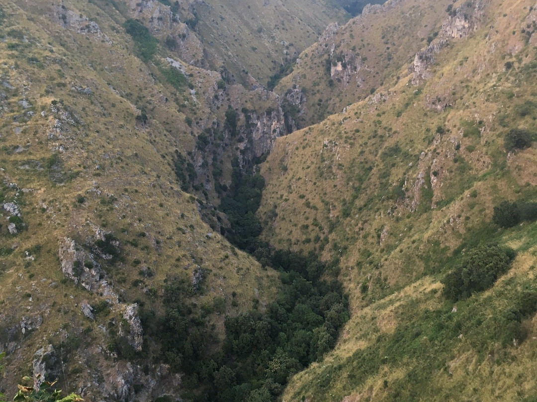 Alfonso di Loria主图