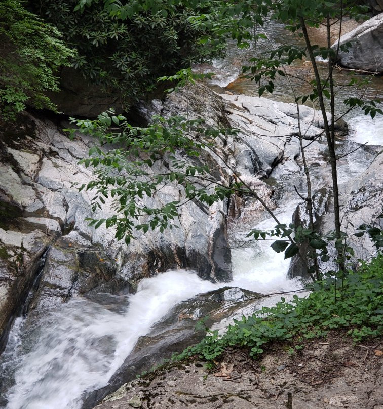 Laurel Creek Falls-布恩必去景点