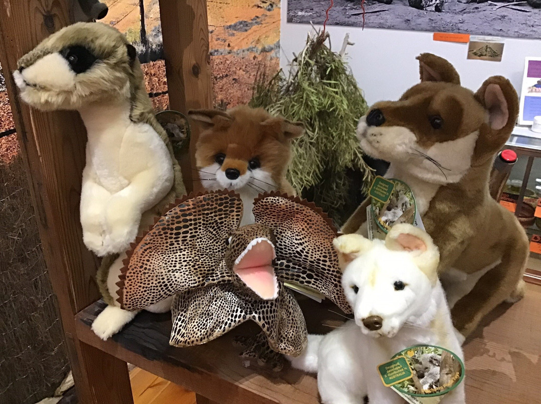 Dingo Dreaming-Blyth必去景点