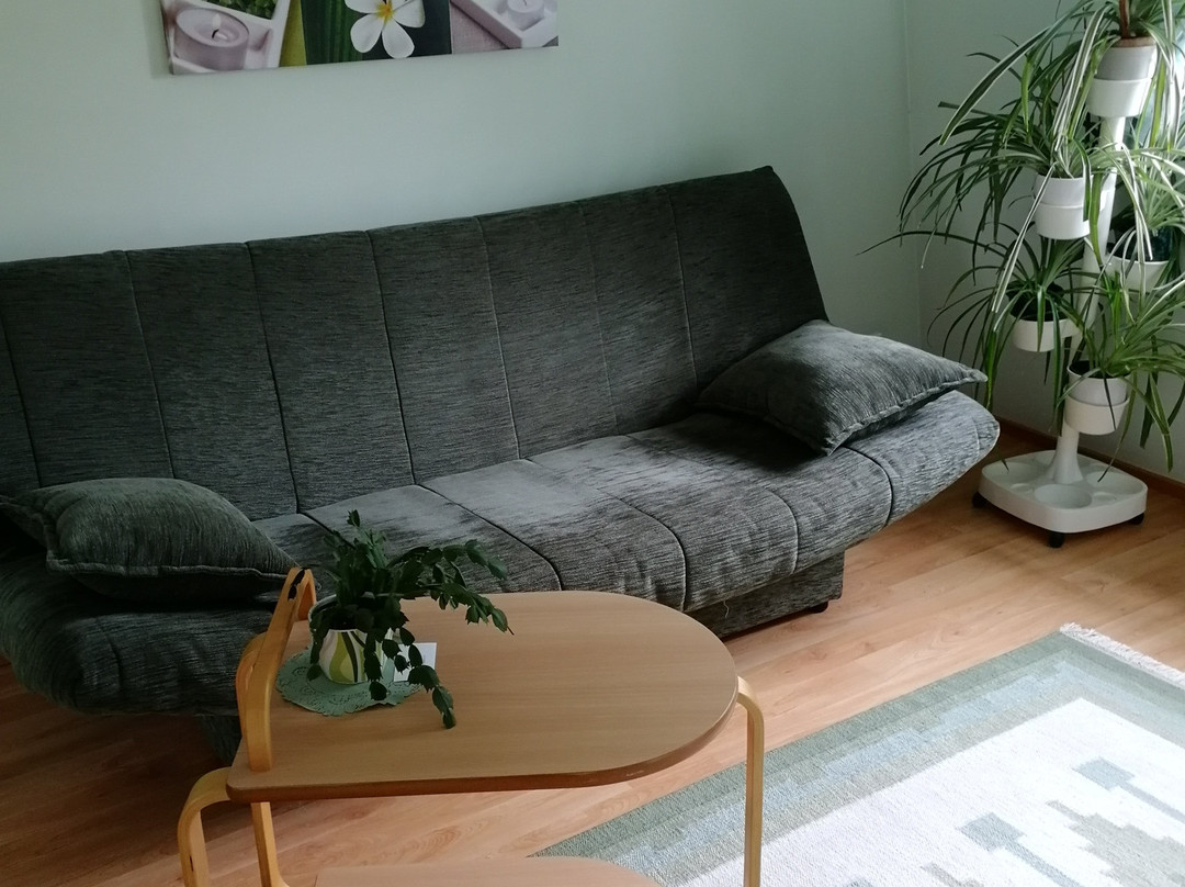 Netti Guesthouse主图