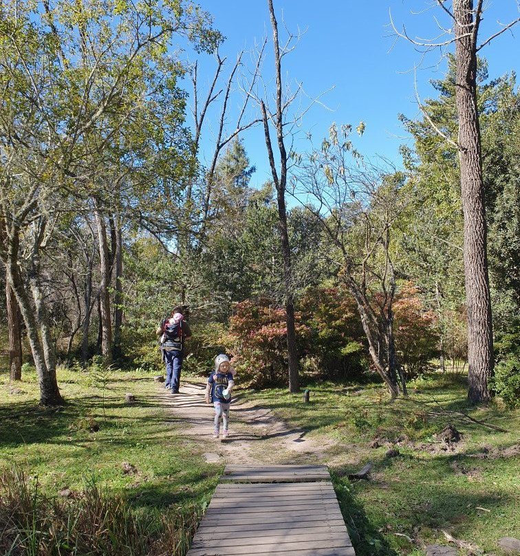 Hogsback Arboretum-Hogsback必去景点