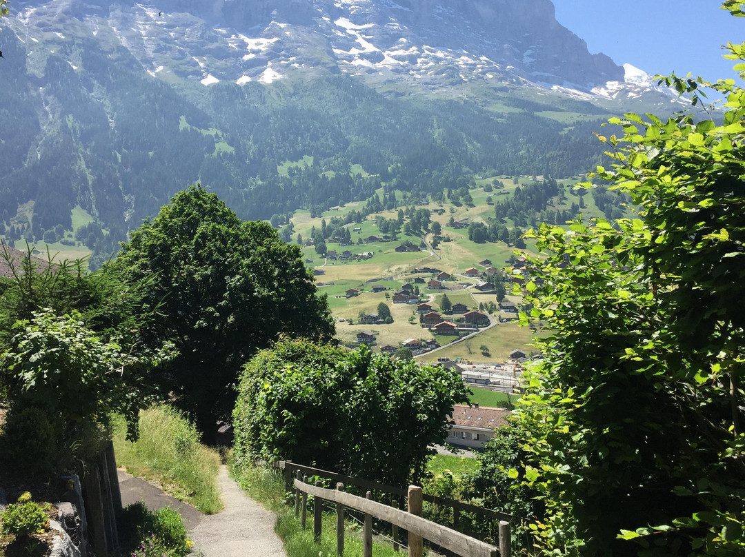 Grindelwald Walking Tours景点图片