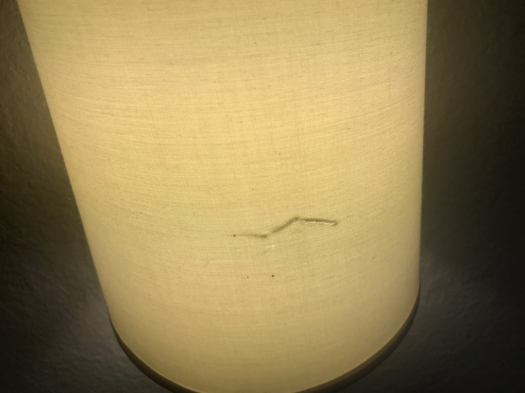 Super 8 by Wyndham Rock Falls Sterling Area主图