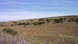 Plateau du Larzac景点图片
