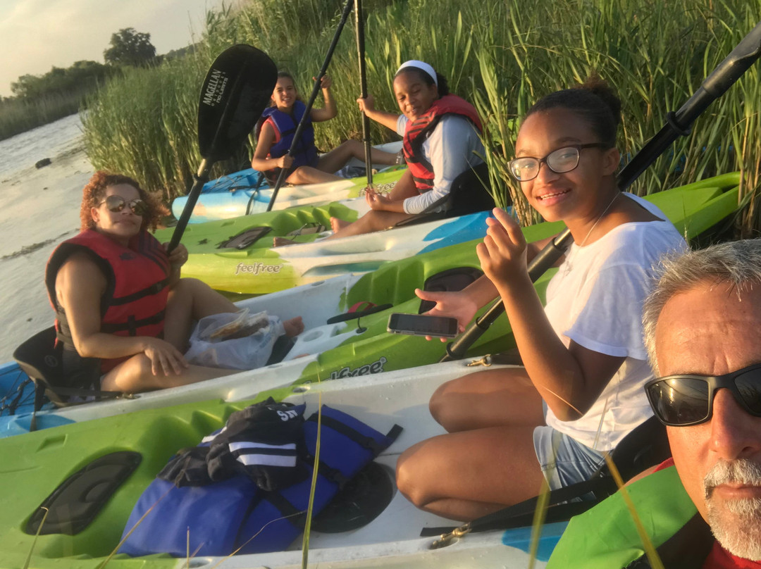 Bayou Adventure景点图片