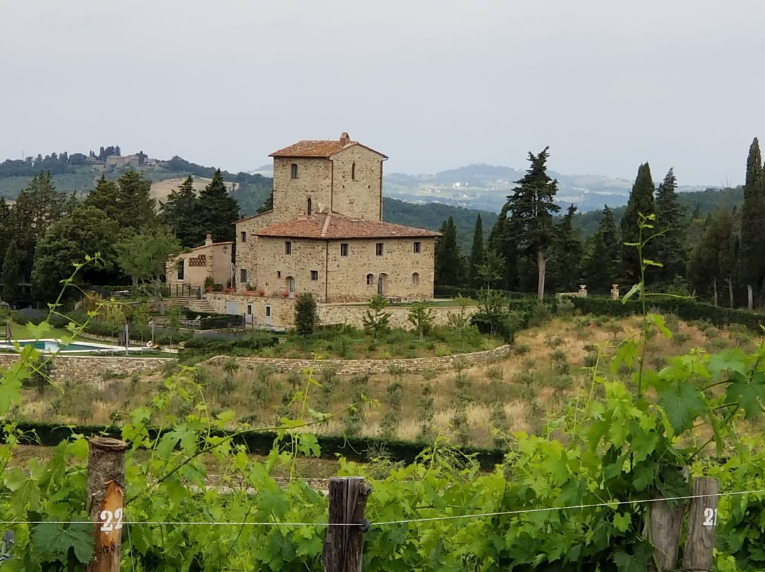 Scenic wine tours in Tuscany景点图片