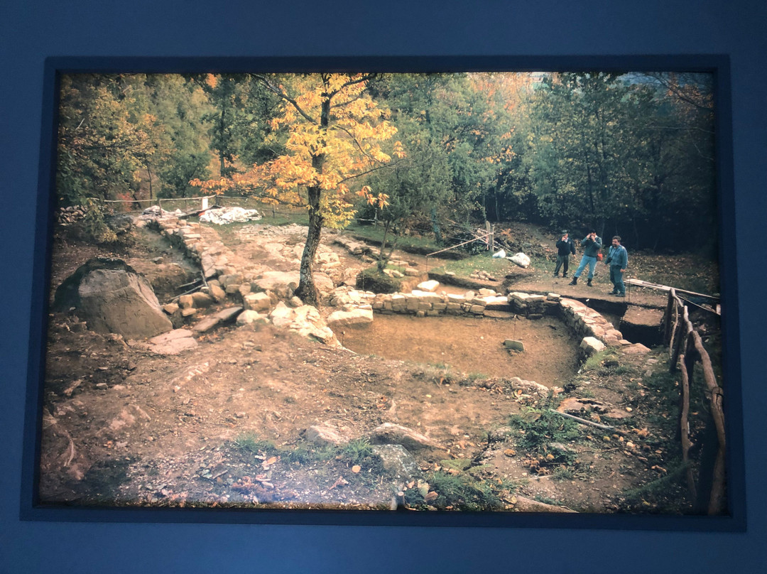 Museo Archeologico del Casentino Piero Albertoni景点图片