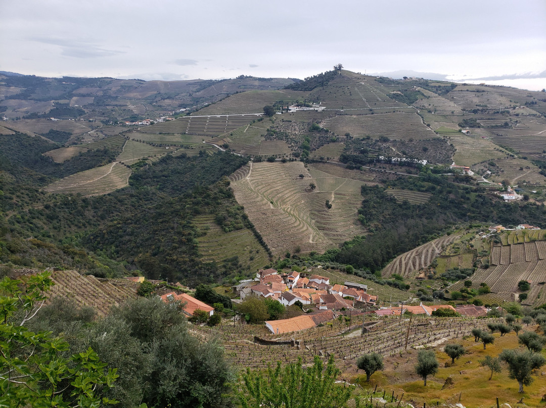 Mesao Provesende主图