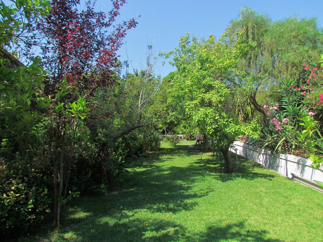 Baha Ammes Apartments主图