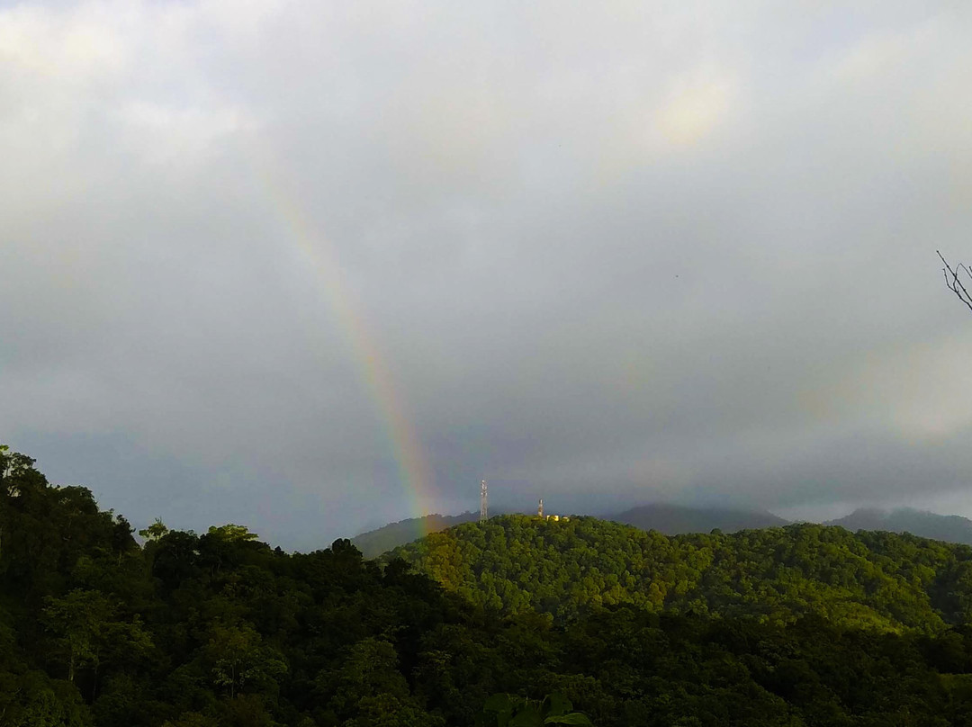 Rain Country Resorts主图