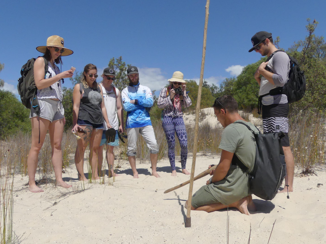 Bush to Coast Expeditions-黄金海岸必去景点
