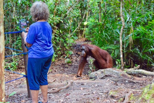 Central Borneo Guide-帕朗卡拉亚必去景点