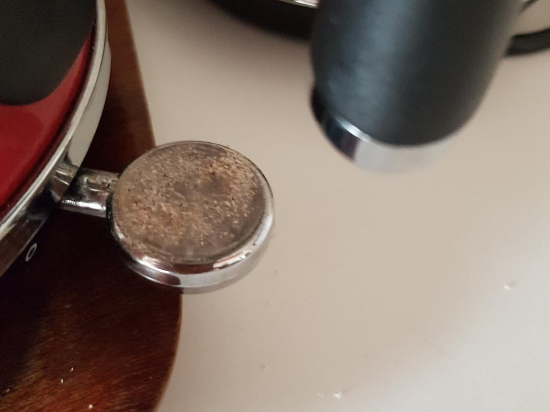 Takapuna International Motor Lodge主图