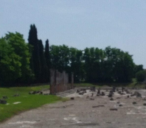 Area Archeologica di Aquileia - Foro Romano景点图片