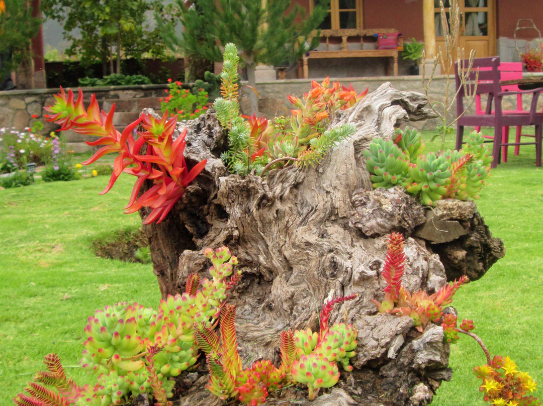 Nunu Boutique Hotel主图