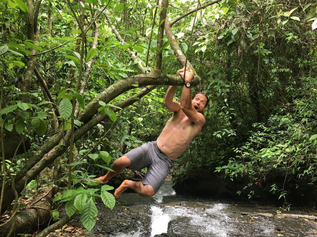 Rainforest Rides & Rappelling景点图片