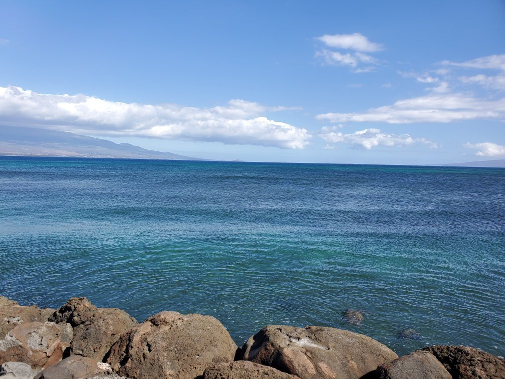Maalaea Harbor-玛阿拉也亚必去景点