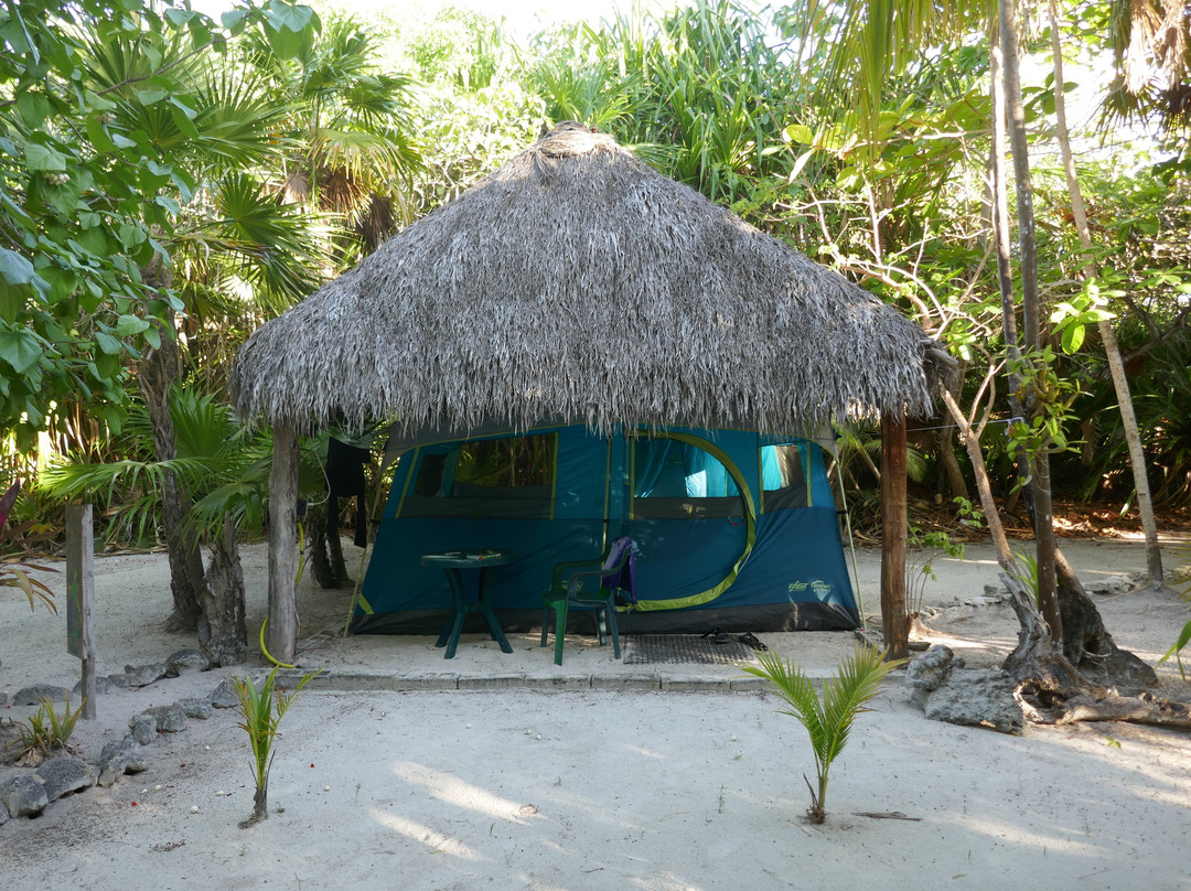 Serenidad Shardon主图