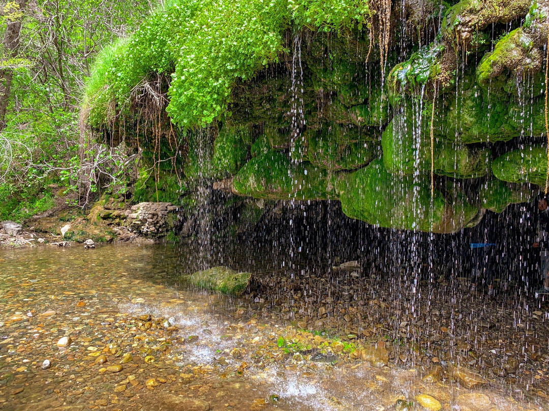 Natural Bridges Trail景点图片