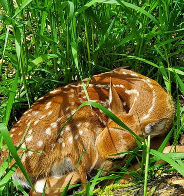 Heckrodt Wetland Reserve-Menasha必去景点