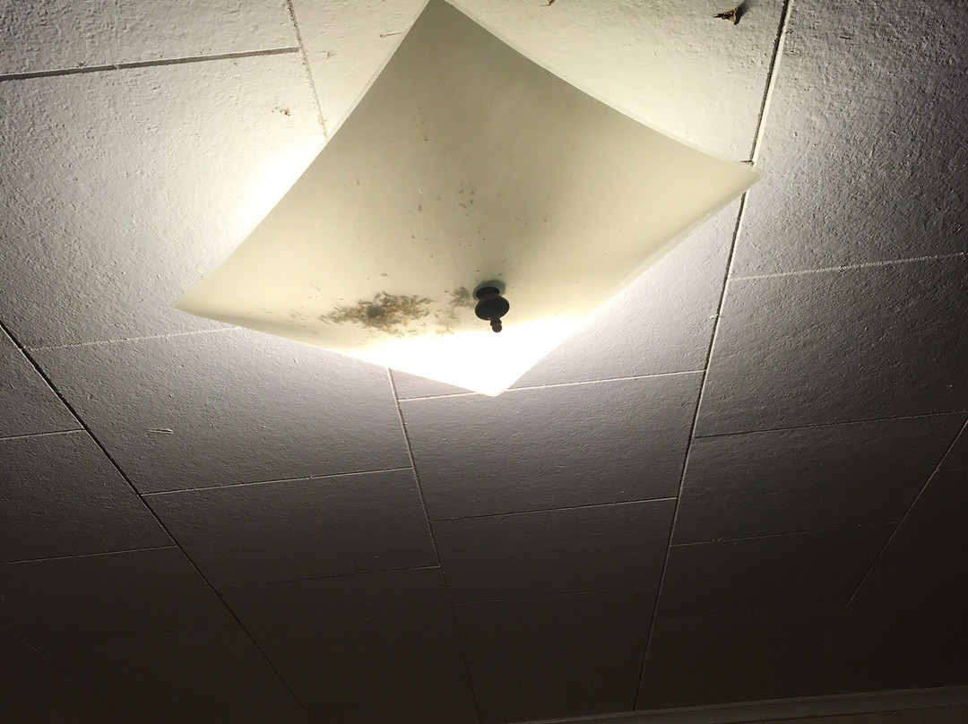 Sunflower Motel主图