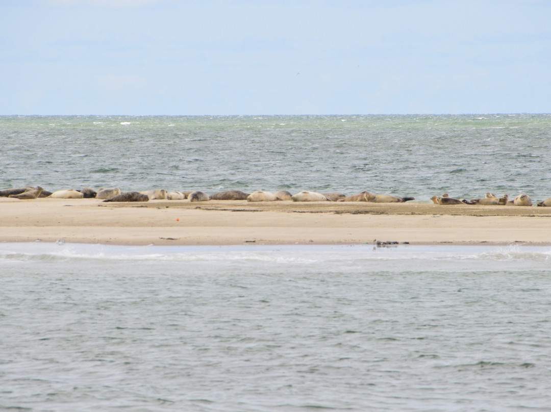 Oudeschild, Texel-特塞尔必去景点