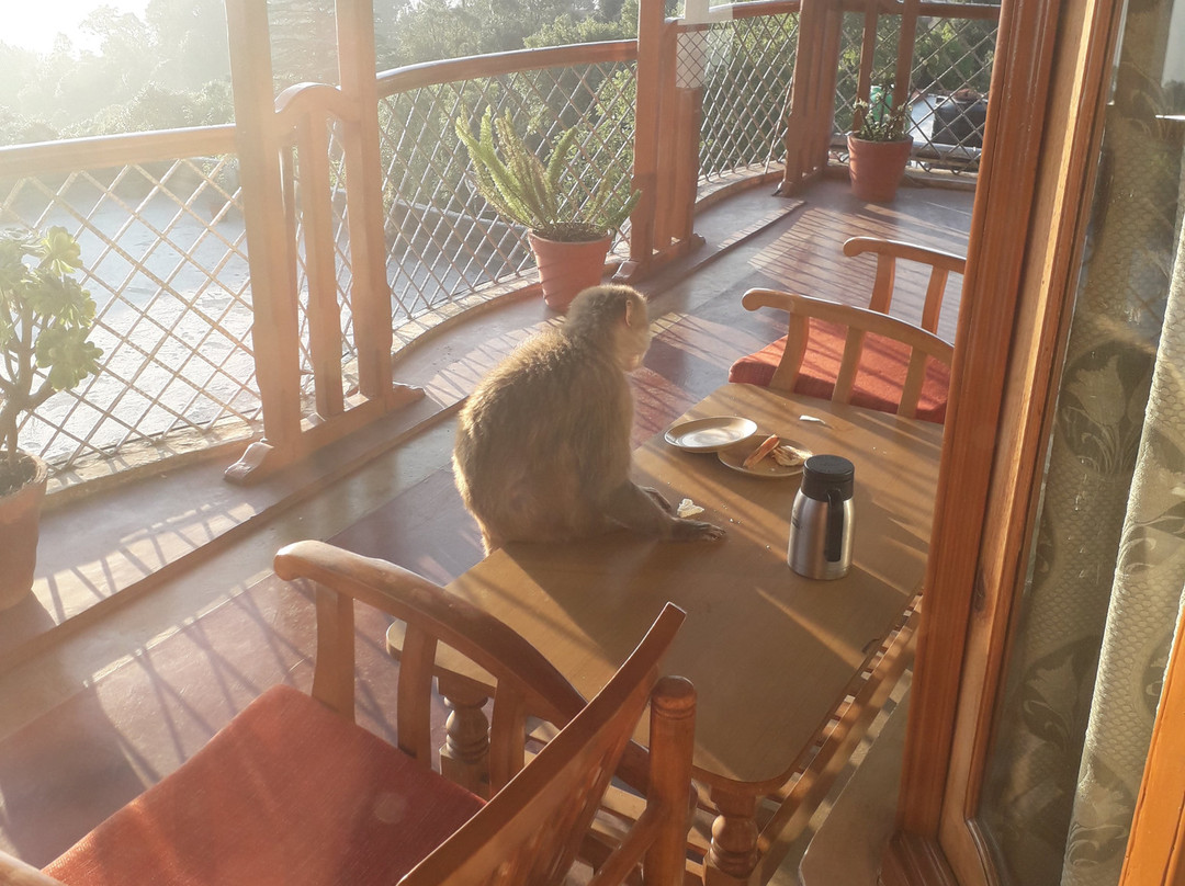 Kausani Best Inn主图