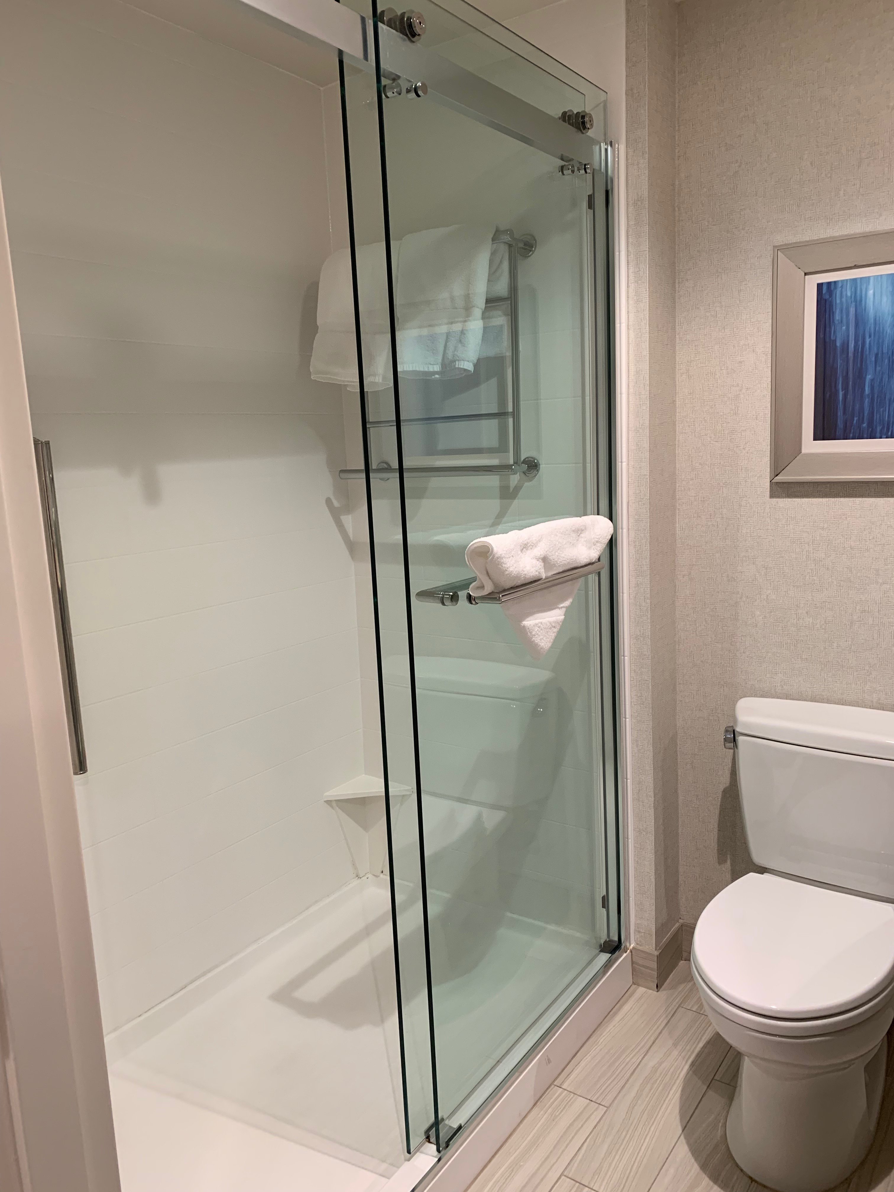 Hilton Garden Inn Lenox Pittsfield-浴室