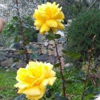 Hacienda de Anzo主图