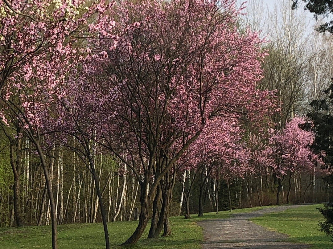 Valley of Three Ponds-卡托维兹必去景点