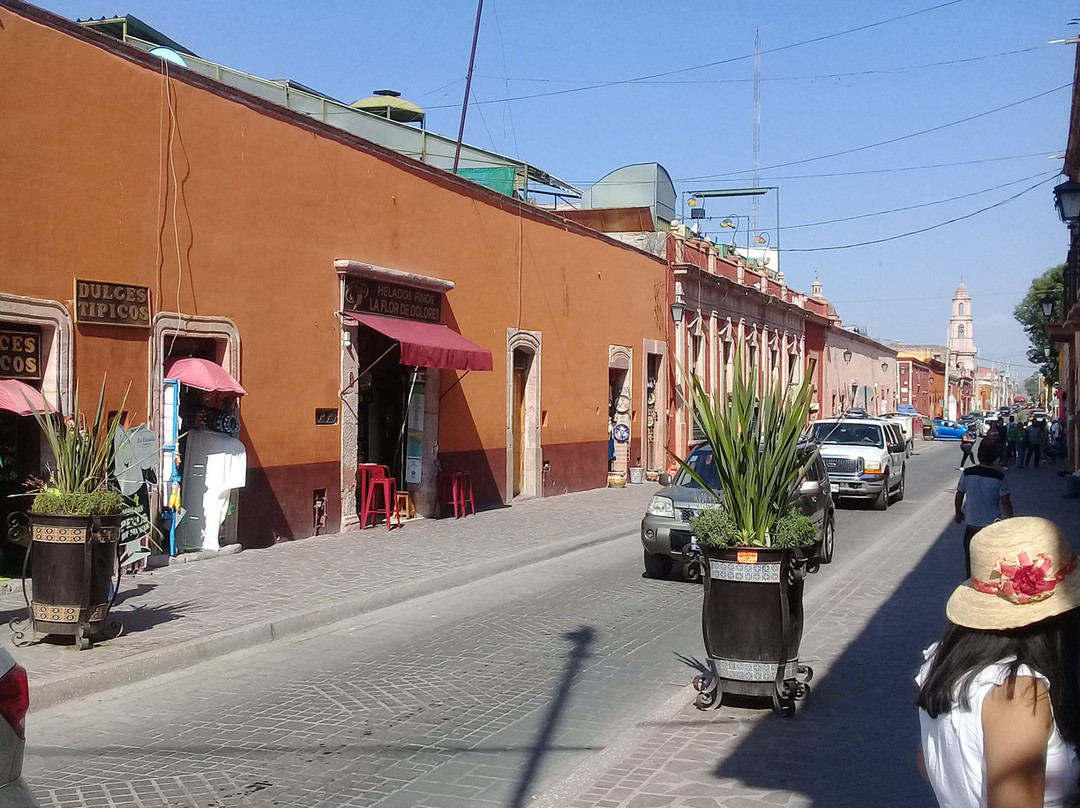 Plaza Principal - Jardin del Grande Hidalgo景点图片