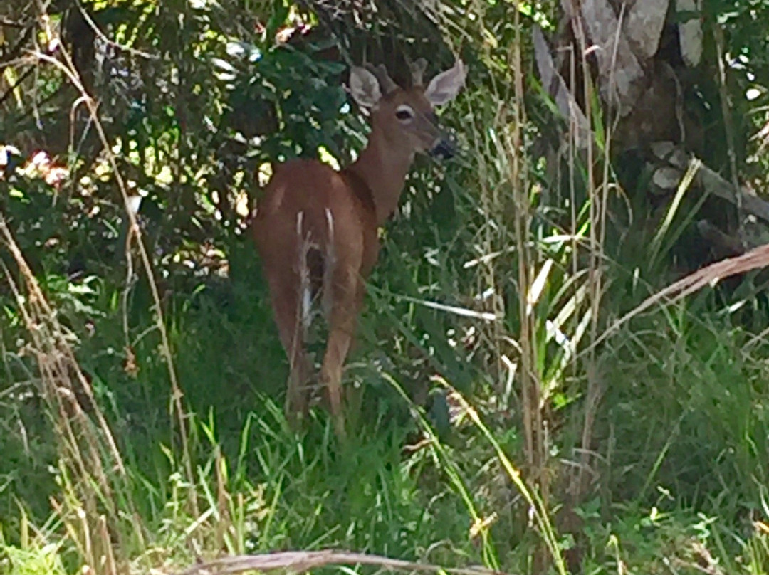 Riverbend Park-朱庇特必去景点