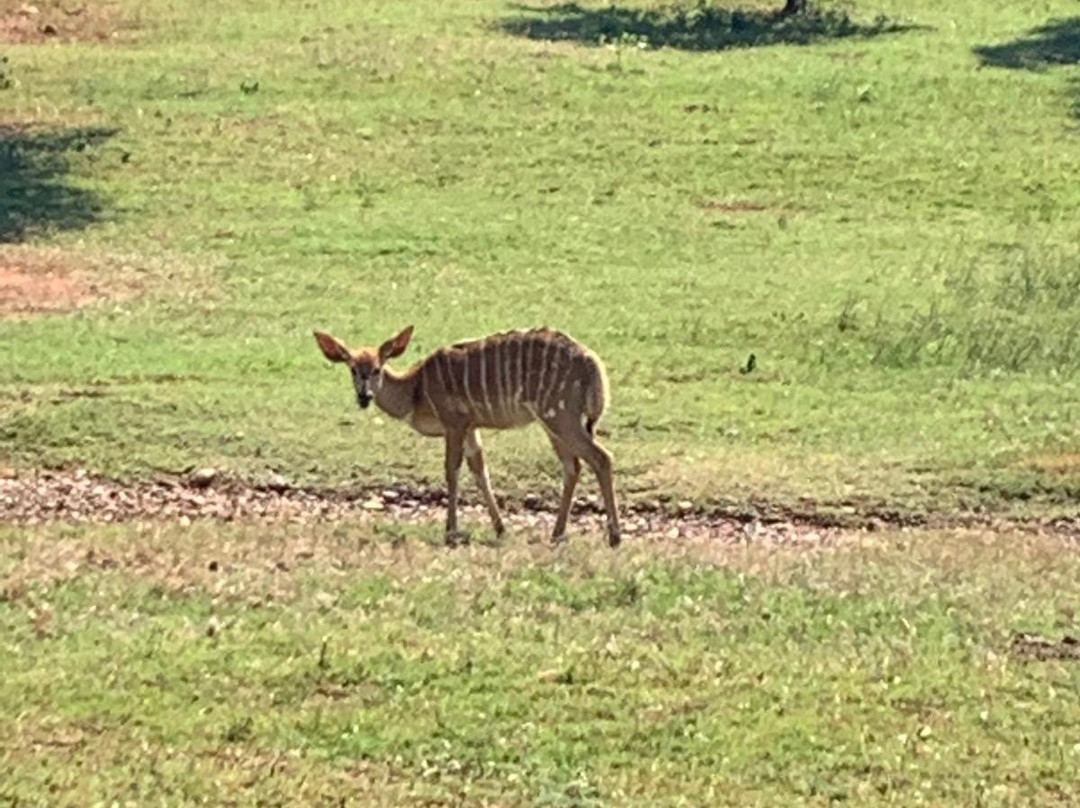 Green Leaves Country Lodge and Venue主图