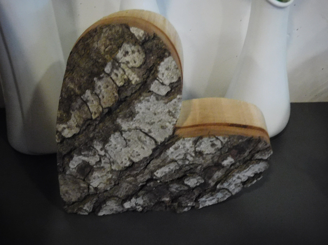 罗特斯豪斯酒店主图