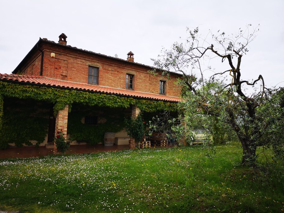 Azienda Agricola Romeo-蒙特普尔恰诺必去景点