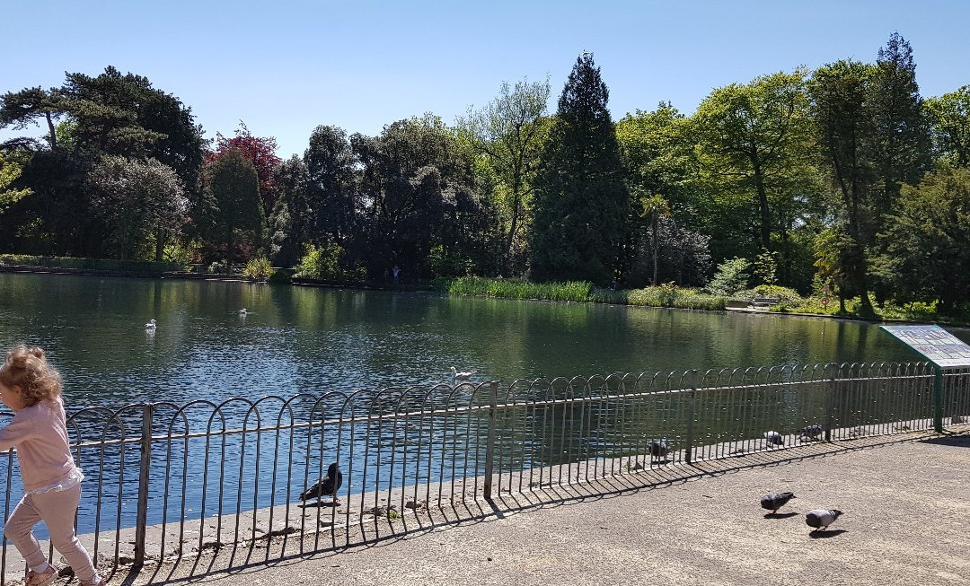 Brynmill Park景点图片