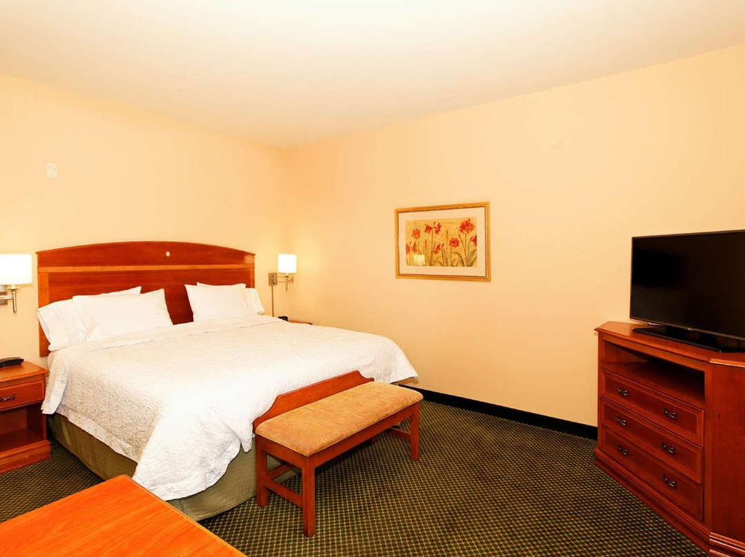 Hampton Inn Montrose主图